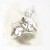 RSM009-small-6_1.jpg