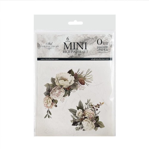 RSM027-small-0.jpg
