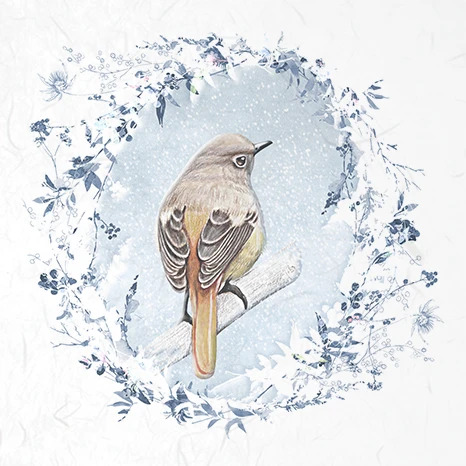 RSM050-small-08.png