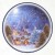 RSM062-small-4.jpg