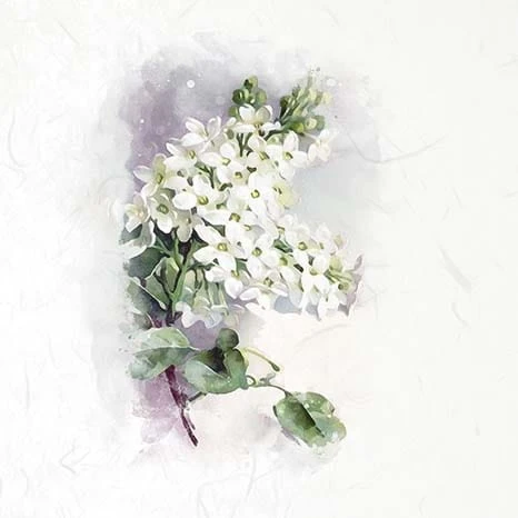RSM072-small-3.jpg