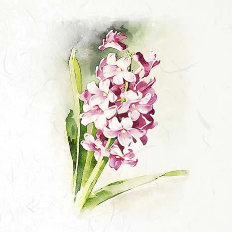 RSM073-small-3.jpg