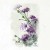 RSM075-small-4.jpg
