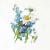 RSM077-small-3.jpg