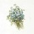 RSM077-small-4.jpg