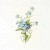 RSM077-small-6.jpg