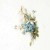 RSM077-small-7.jpg