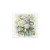 RSM143-small-4.jpg