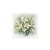 RSM143-small-5.jpg