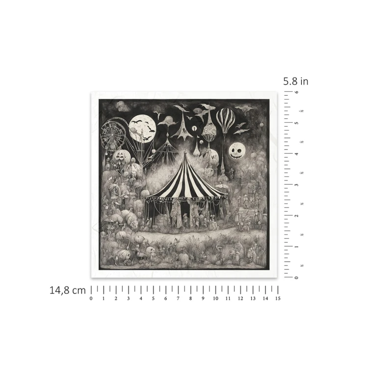 RSM155-small-3a.jpg