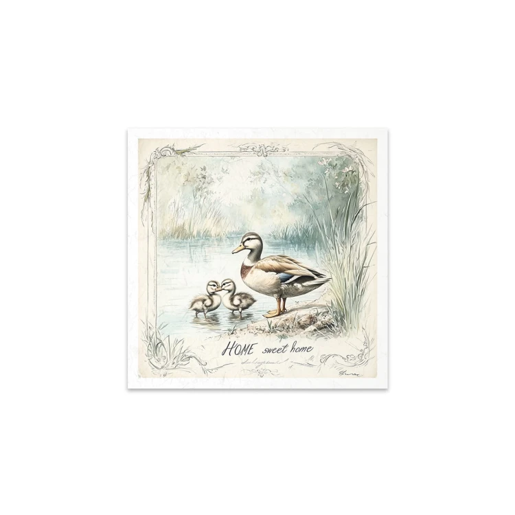 Papier-ryzowy-RSM159-small-5-kaczki.jpg