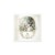 Papier-ryzowy-RSM165-small-7-koty.jpg