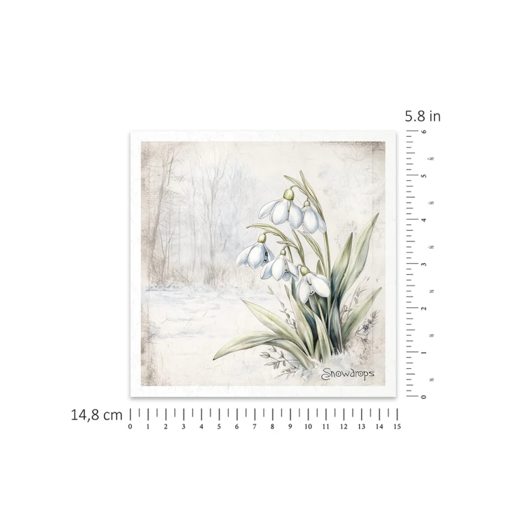 Papier-ryzowy-RSM172-small-3a-kwiaty-przebisnieg-zawilec-firletka-poszarpana-komonica-zwyczajna-przylaszczka-miodunka.jpg.jpg