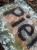 IMG_8208.jpeg