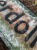 IMG_8209.jpeg