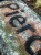 IMG_8211.jpeg